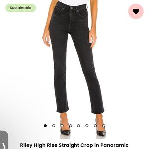 Agolde Riley High Rise Straight Jeans